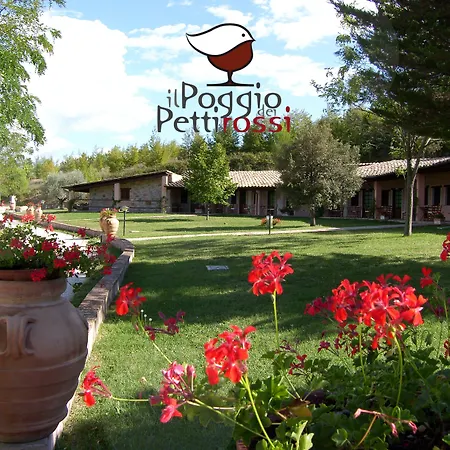 酒店 Il Poggio Dei Pettirossi 贝瓦尼亚