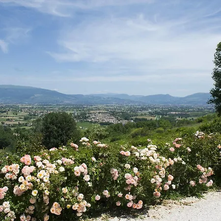 Il Poggio Dei Pettirossi